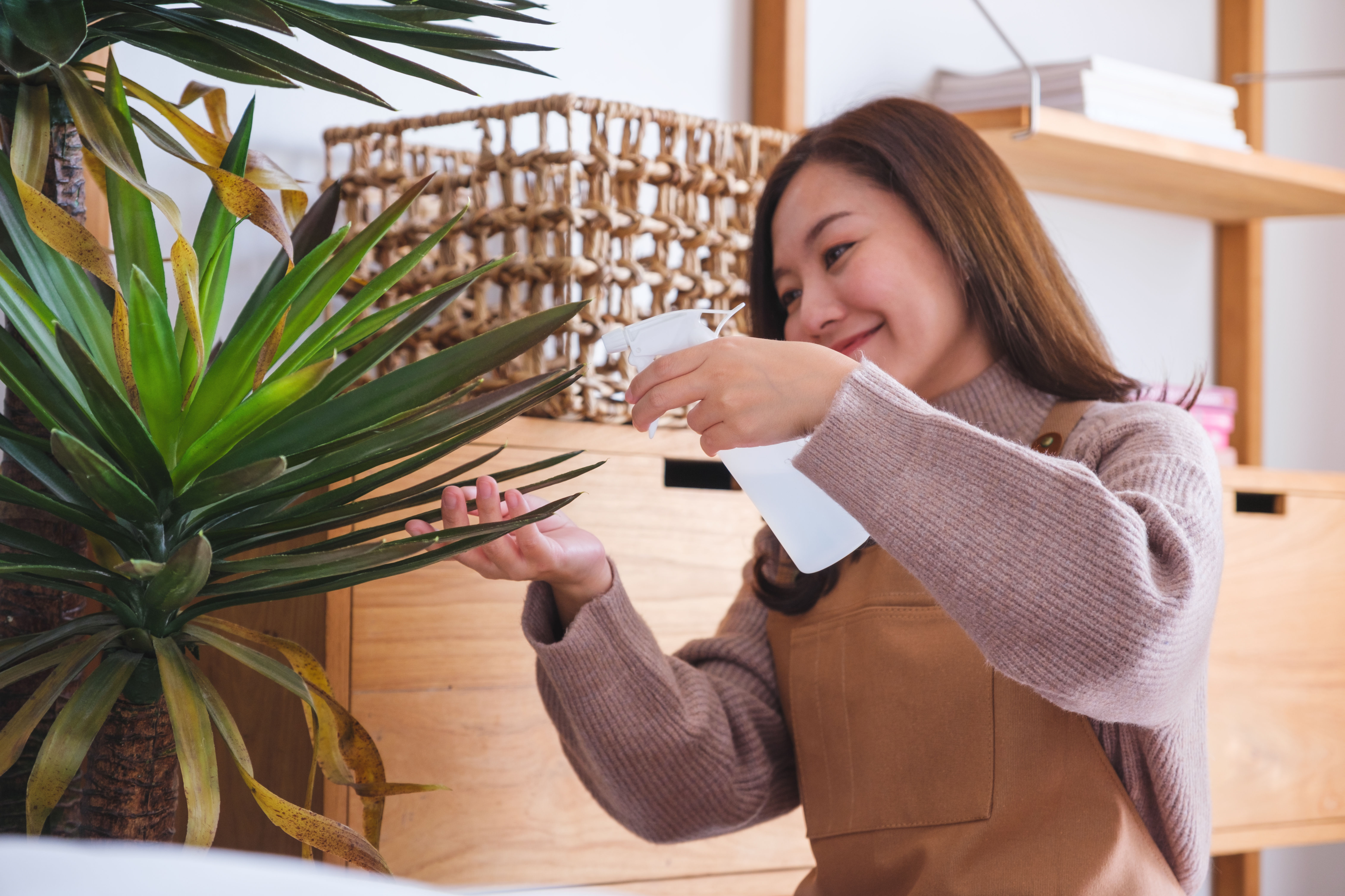 Adding plants is an easy, budget-friendly way to refresh your home. 