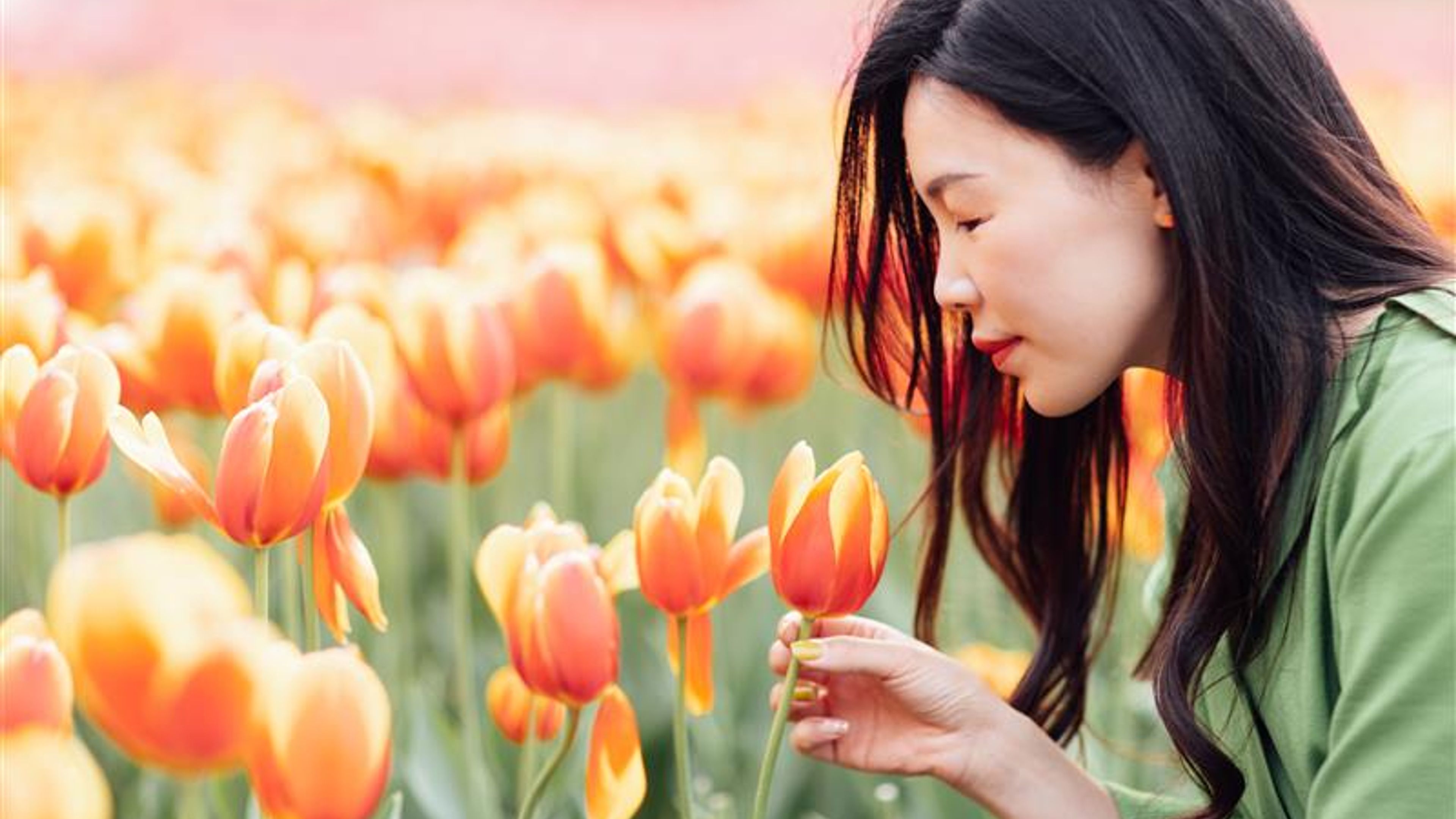 A woman in a tulip field