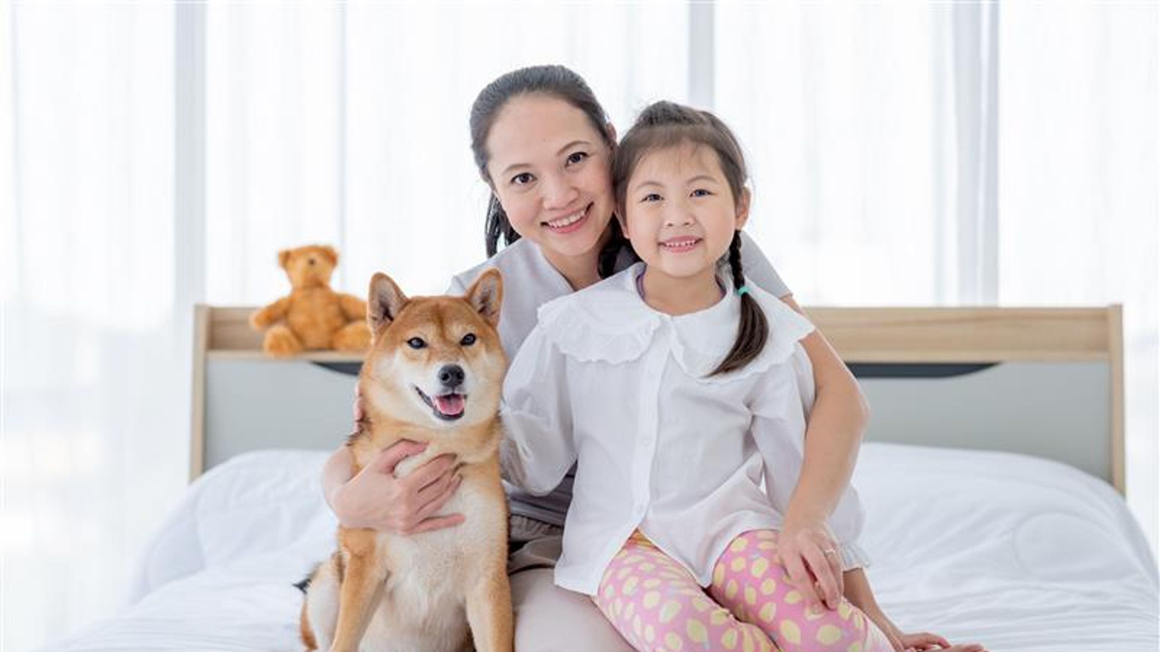 Asian mother and girl sit on white bed with Shiba dog and look to camera with smiling in bedroom.