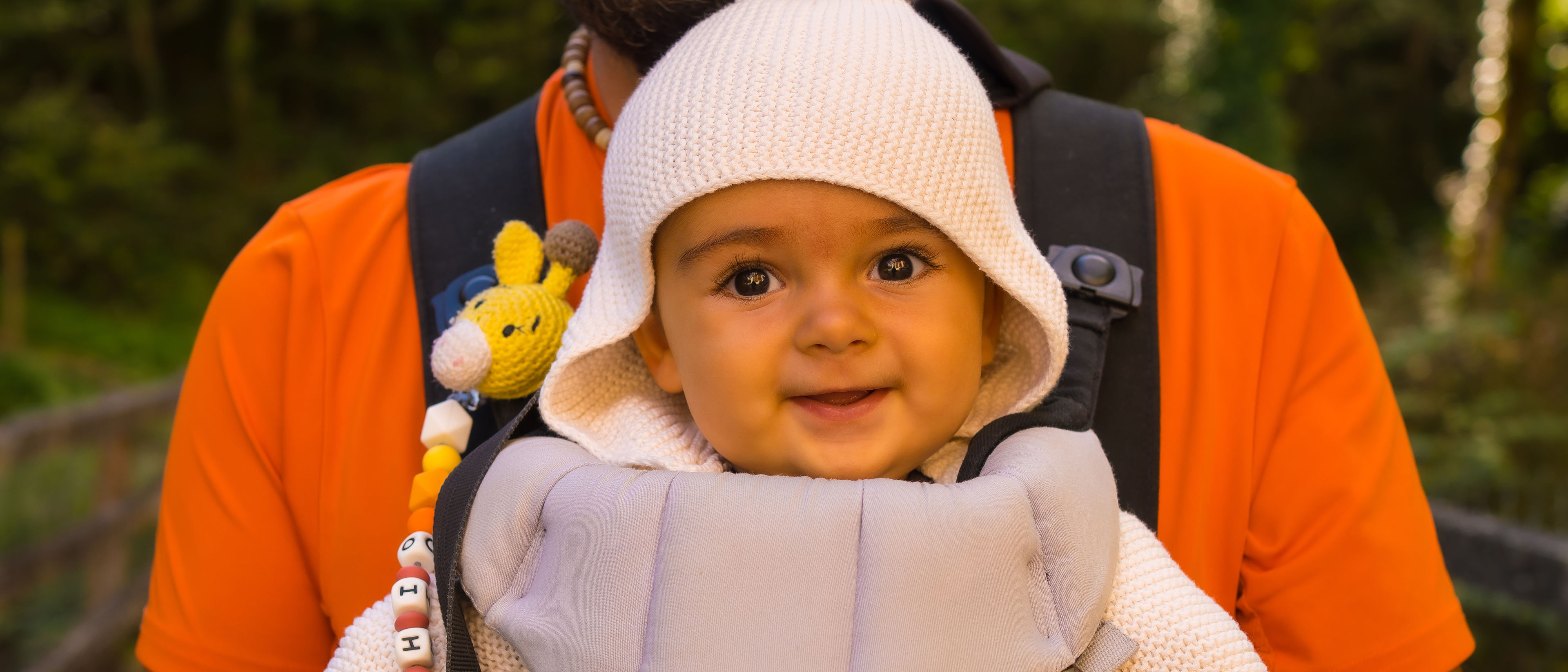 Father carries baby in a baby carrier