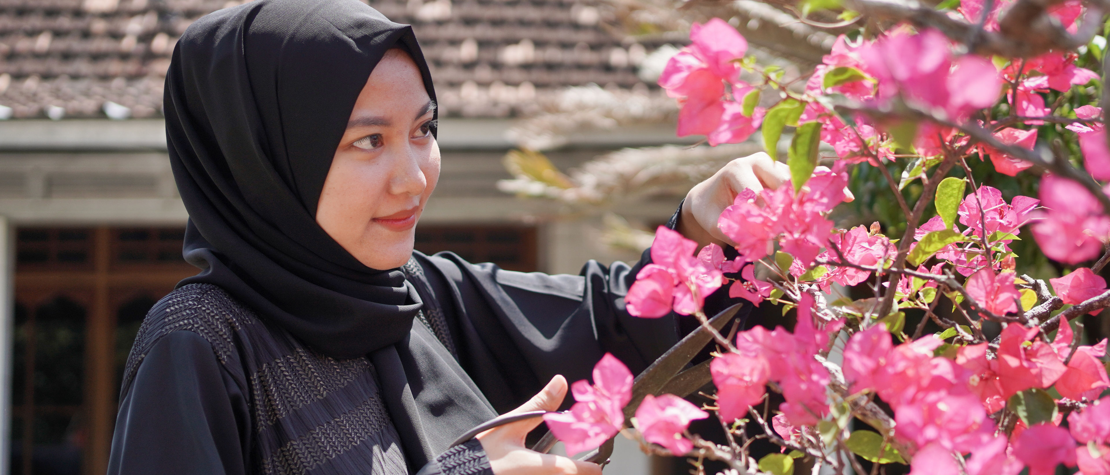 Woman is taking care of the plants