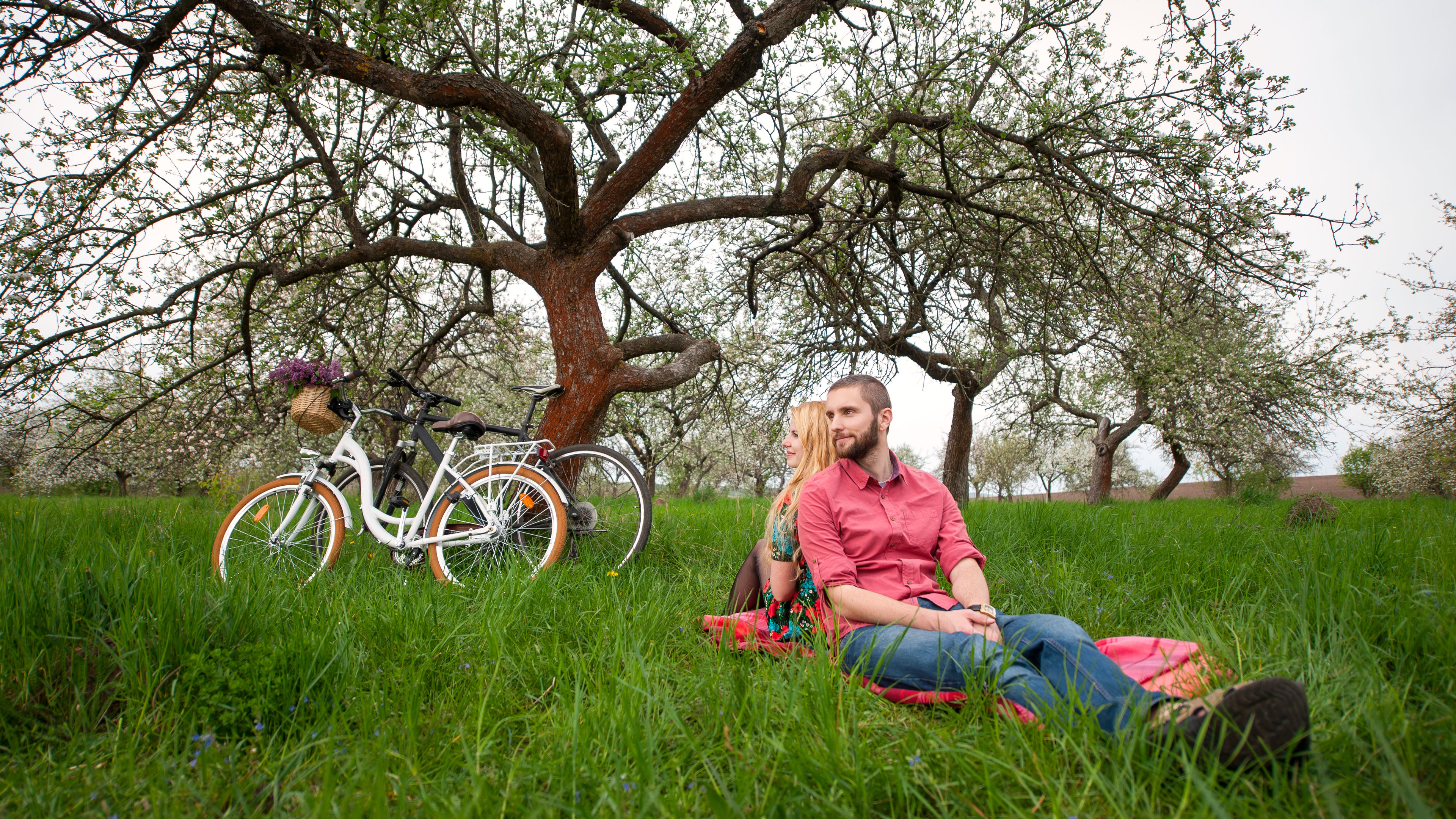 Couple relaxing under tree with bikes nearby. 