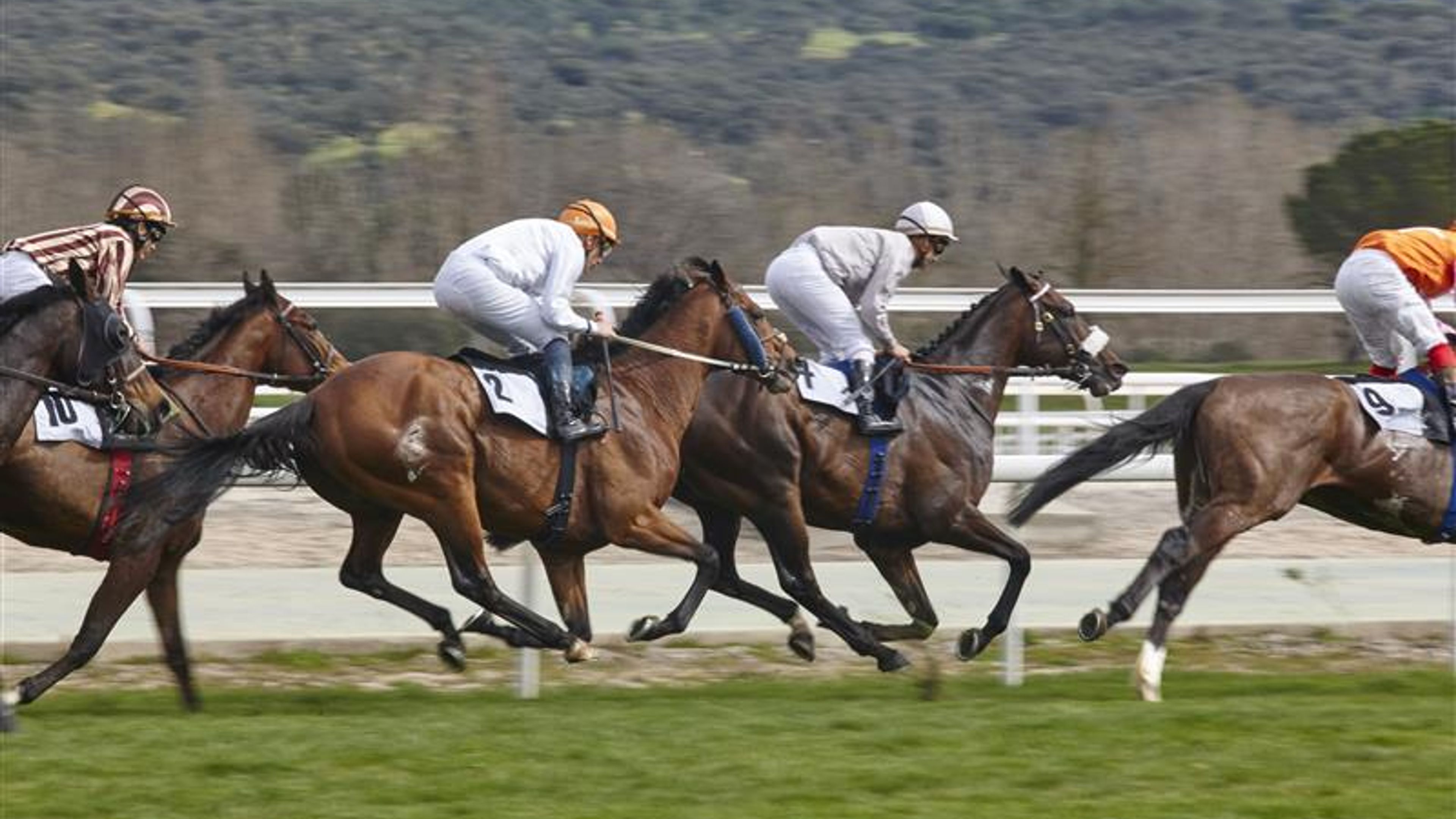  Horse race final rush